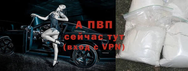 гидра Киренск