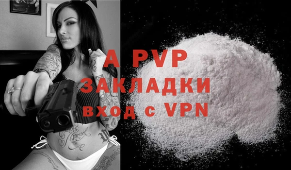 гидра Киренск