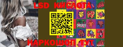 бошки Краснодар