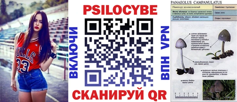 Галлюциногенные грибы Psilocybine cubensis  Коммунар 