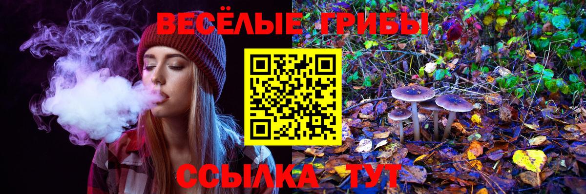 Галлюциногенные грибы ЛСД  Псилоцибиновые грибы мухоморы  Коммунар  хочу наркоту  Вход с VPN 